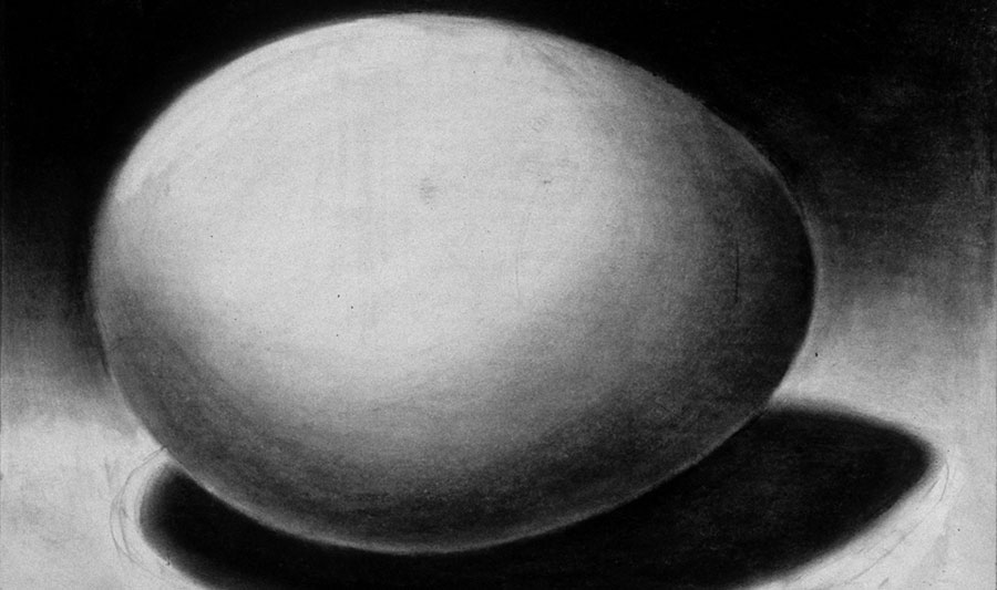  Charcoal drawing of egg